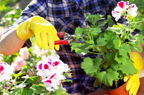 Team member preparing a garden maintenance site with tools laid out