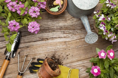 Frontline gardener inspecting plants representing commitment to anti-slavery