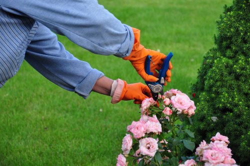 Operative using protective equipment while trimming hedges
