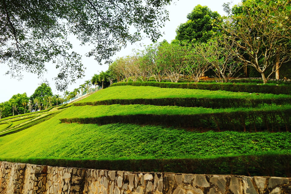 A neatly maintained garden featuring a lush green lawn bordered by well-trimmed hedges and flowering border plants. The garden bed along the edge of the lawn is filled with a variety of colorful flowe